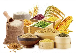 五谷杂粮图片
