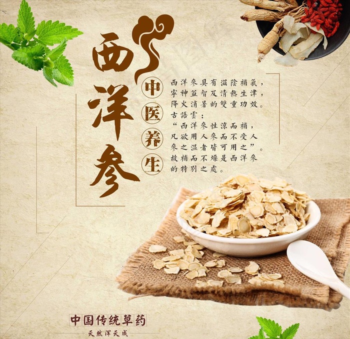 养生西洋参图片(1000X1000)cdr矢量模版下载