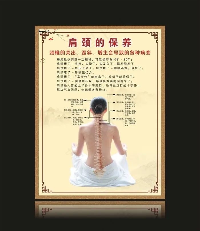 肩颈的保养图片(210X297)cdr矢量模版下载