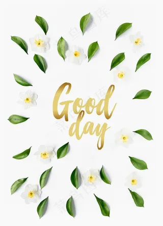 北欧 小清新  绿植  花卉图片