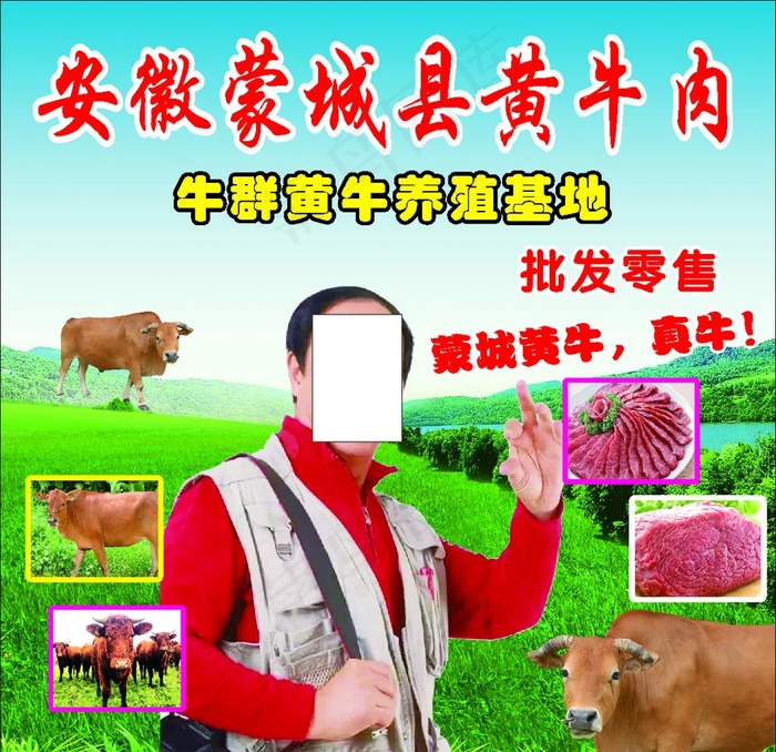 黄牛肉图片(800X800)cdr矢量模版下载