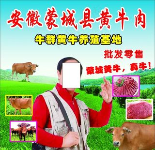 黄牛肉图片