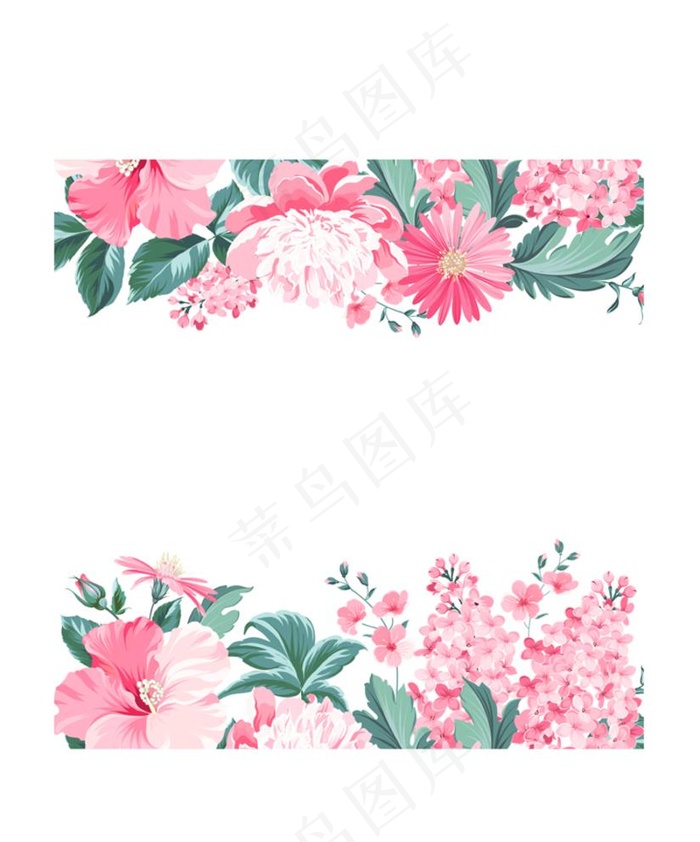 粉色花卉花边图片