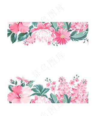 粉色花卉花边图片