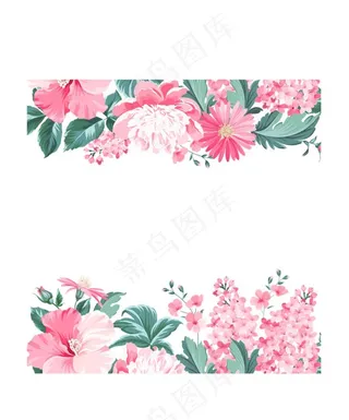 粉色花卉花边图片