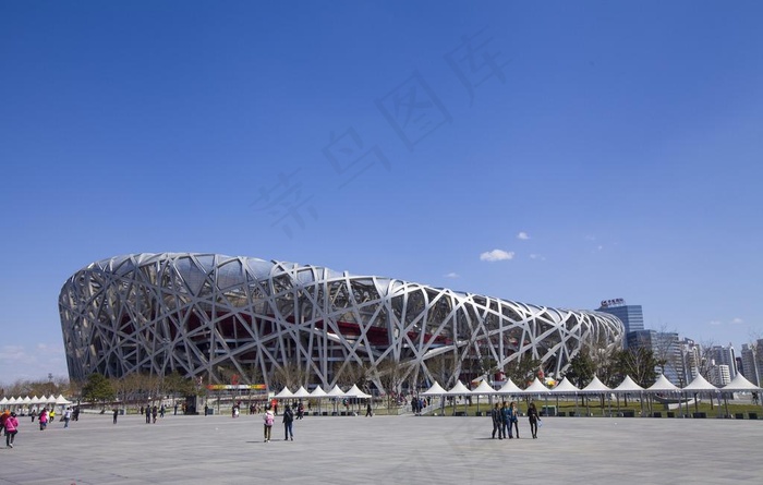 鸟巢图片