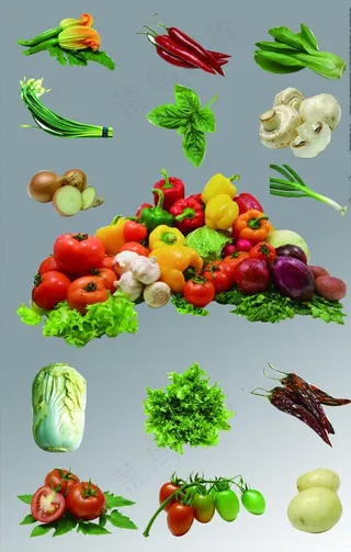 蔬菜免抠图图片