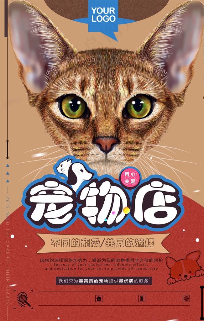 宠物海报图片(3543X5315(DPI:300))psd模版下载