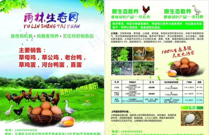 草鸡养殖宣传单图片(841X1189)cdr矢量模版下载