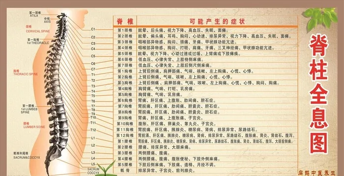 脊柱全息图图片cdr矢量模版下载