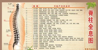 脊柱全息图图片