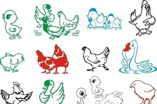 鸡鸭鹅单色矢量图图片