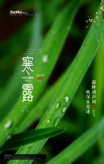 寒露图片 寒露图片