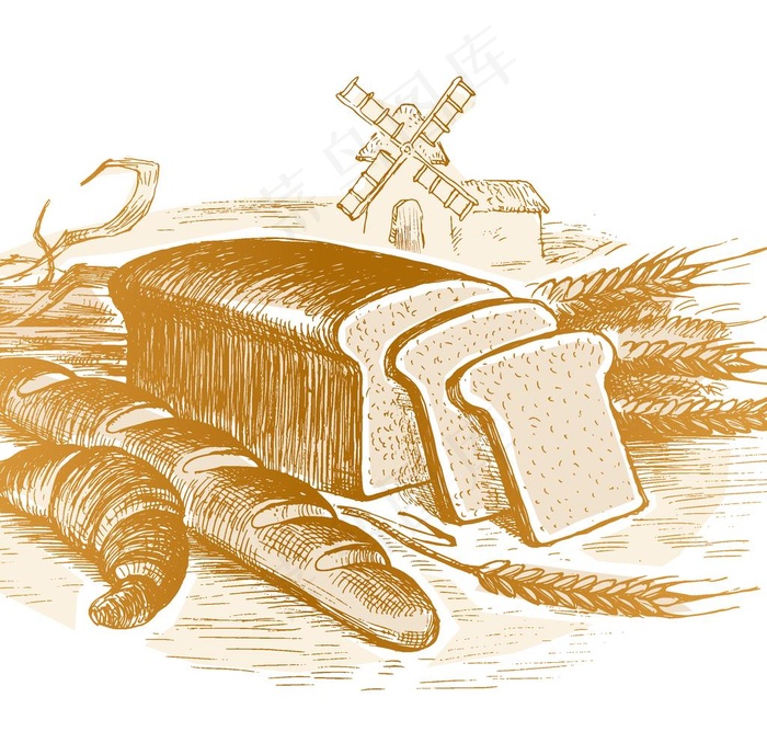 矢量面菜鸟图库片