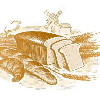 矢量面菜鸟图库片