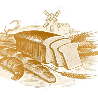 矢量面菜鸟图库片