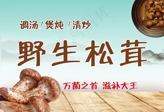 野生松茸图片