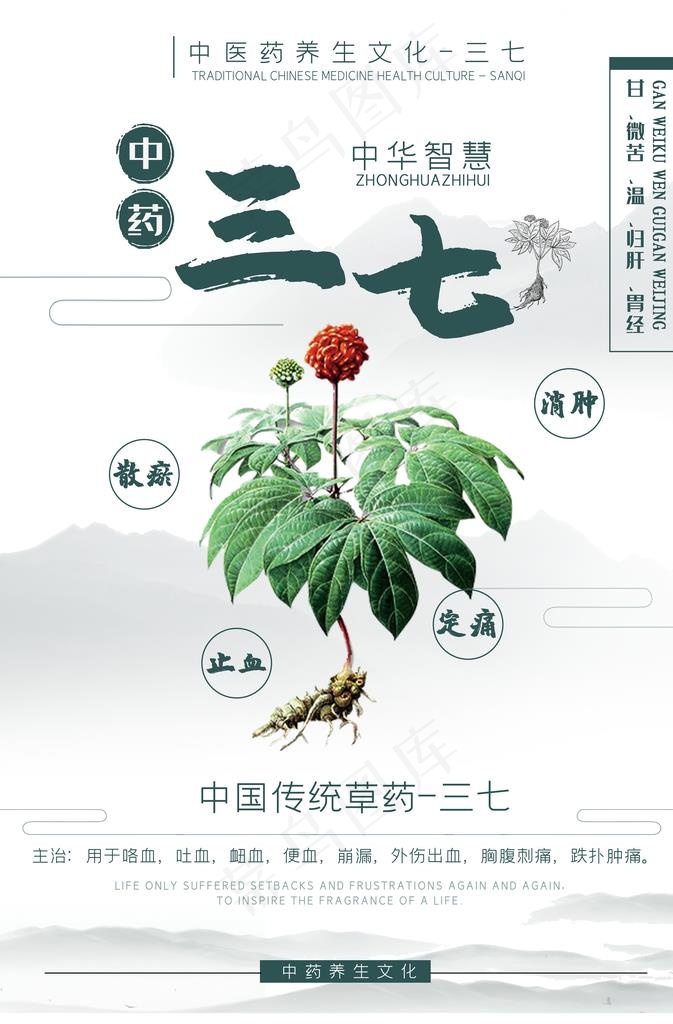 中药三七图片(3534X5135(DPI:300))psd模版下载
