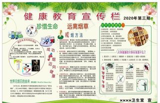 健康教育宣传专栏图片