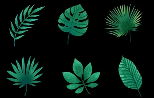 手绘卡通植物叶子图片 手绘卡通植物叶子图片