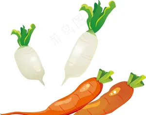 胡萝卜 白萝卜图片