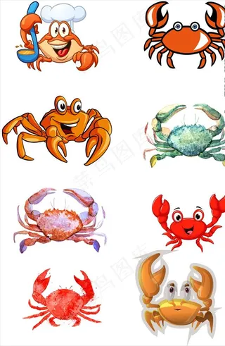 螃蟹插画图片