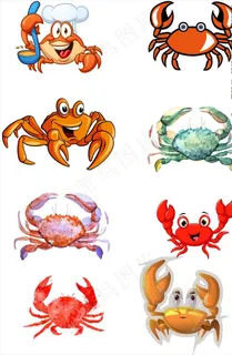 螃蟹插画图片 螃蟹插画图片