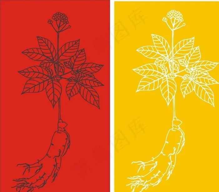 人参图片cdr矢量模版下载