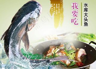 恒云私房菜 大头鱼 水库鱼 石图片