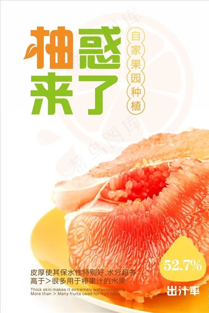 江西红肉柚图片(1500X1500)cdr矢量模版下载