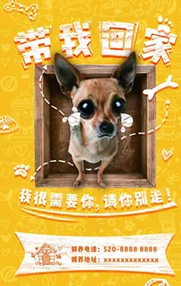 宠物领养海报图片