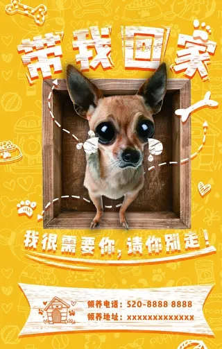 宠物领养海报图片