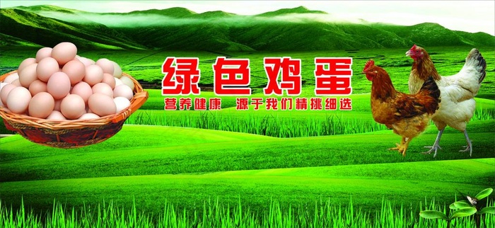 优选鸡蛋销售区图片(210X297)cdr矢量模版下载