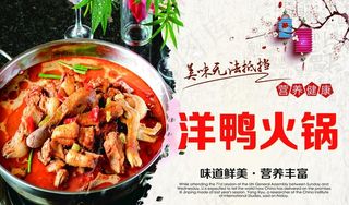 洋鸭火锅图片