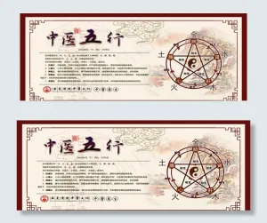 中医五行图图片
