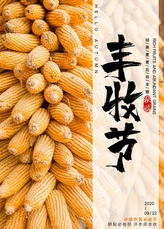 简约丰收节宣传海报图片
