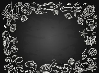 海洋生物框架图片