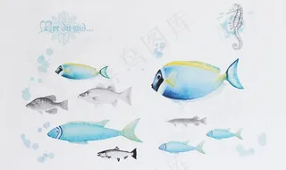 海洋 鱼群图片