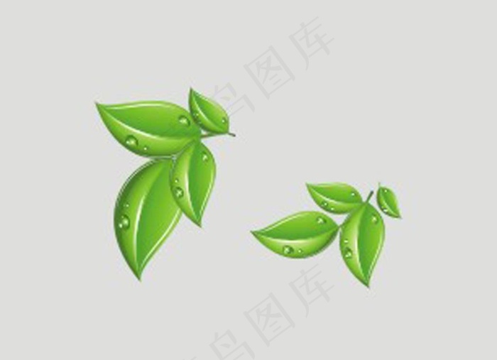 树叶图片cdr矢量模版下载