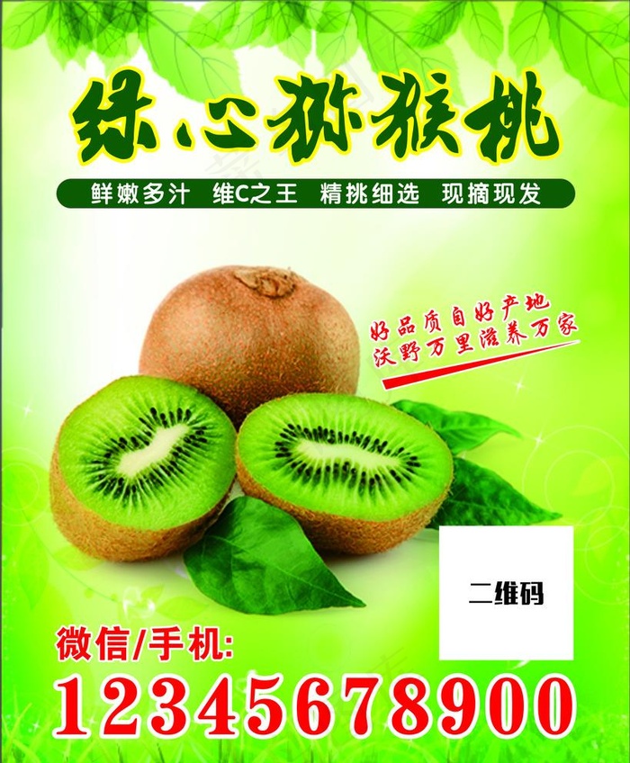 猕猴桃图片cdr矢量模版下载