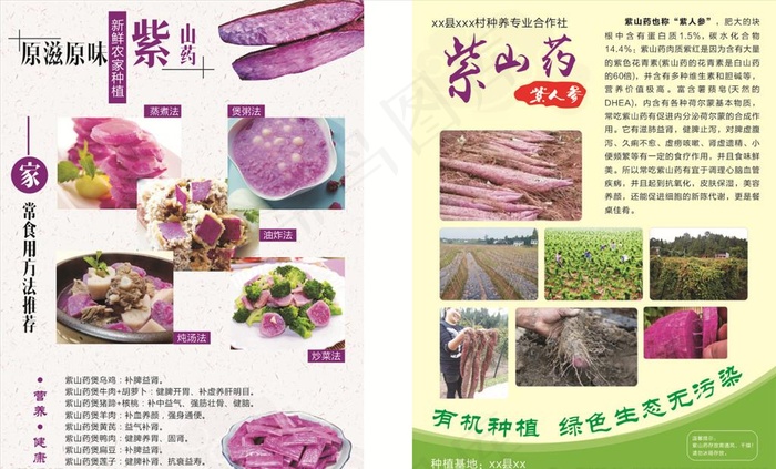 紫山药宣传单图片cdr矢量模版下载