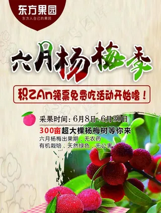 杨梅采摘海报图片