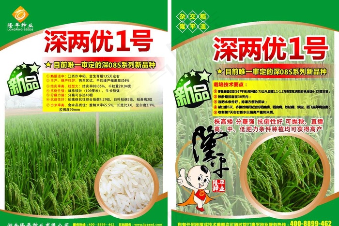 水稻DM宣传单图片cdr矢量模版下载