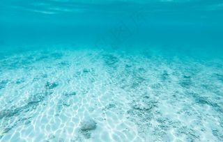 清澈浅海底部景色背景图片