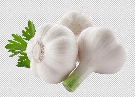 大蒜图片
