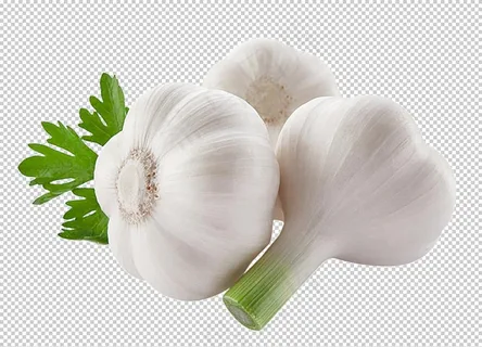 大蒜图片 大蒜图片