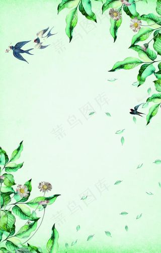 绿色背景图片