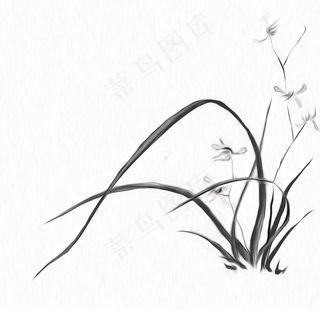 水墨古风兰花插画图片