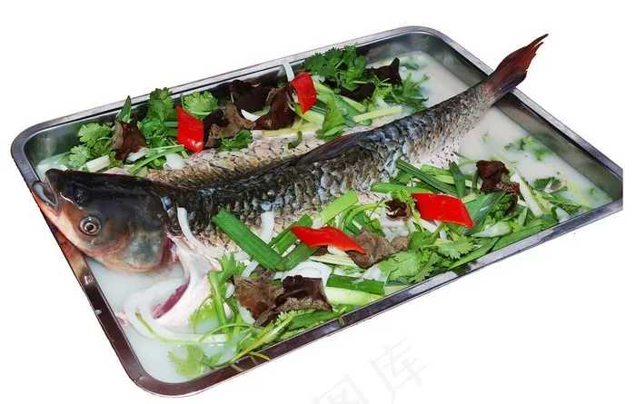 水库大鲩鱼图片