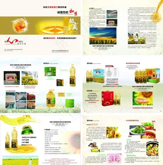 葵花籽油 植物油 画册 封面图片